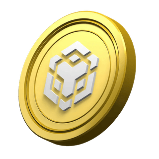 BNB coin graphic displayed in the Compass Wertvale platform's information section